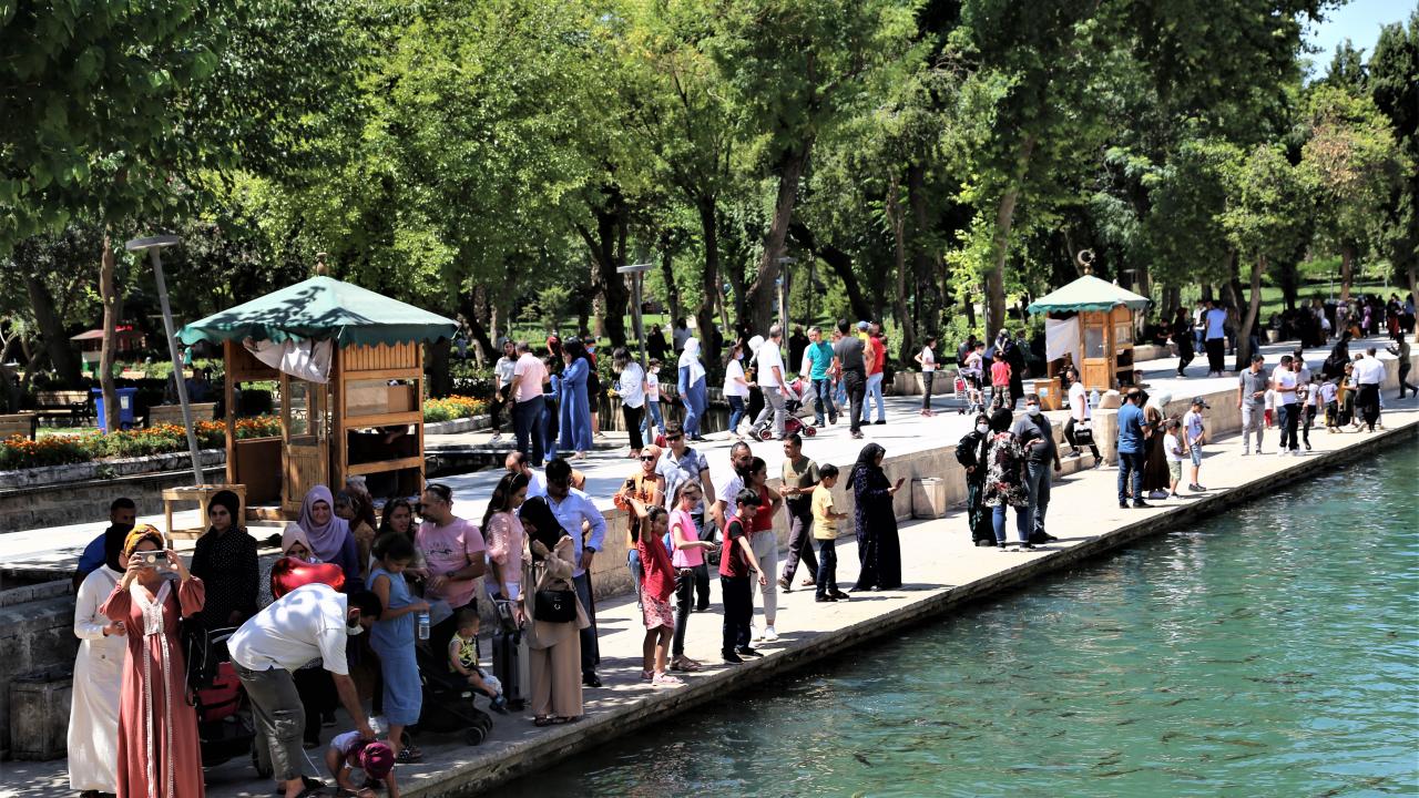 ŞANLIURFA: 103,03 (YÜZDE 47)