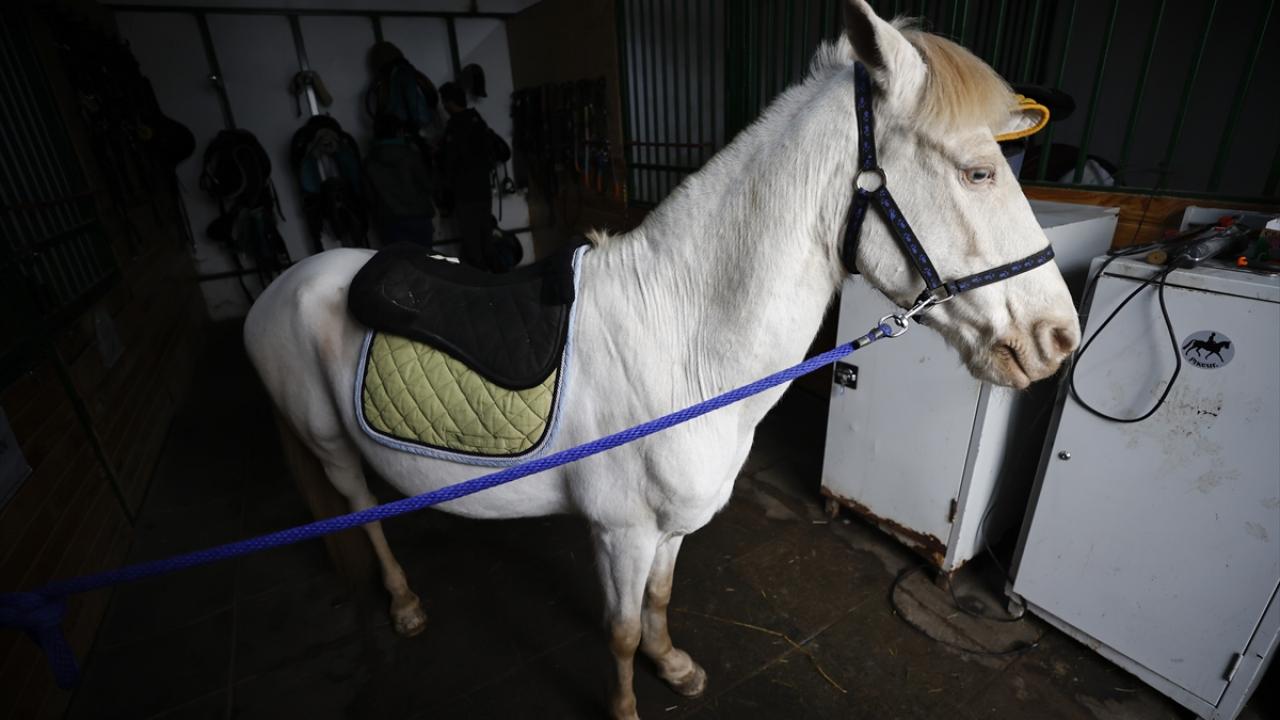 "Hafta sonu Akman için tesisimize gelenler oluyor"