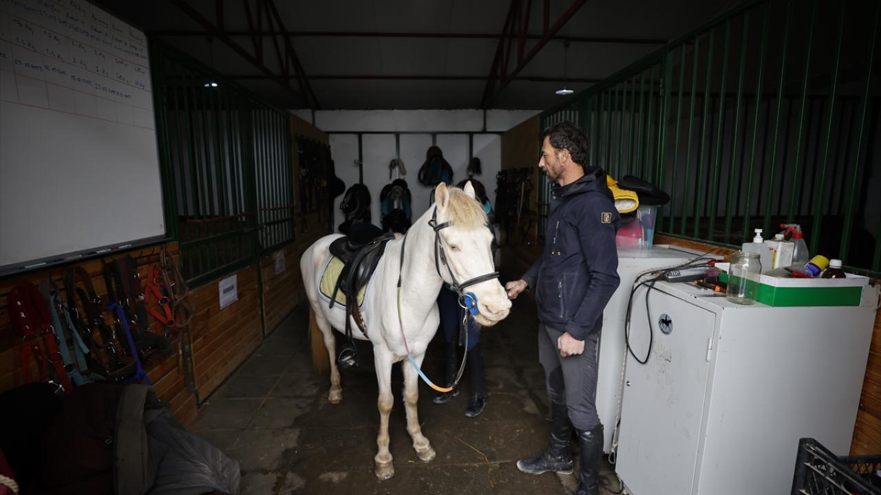 "Beslenme, aşı ve parazitle mücadele programı diğer atlardan farklı değildir"