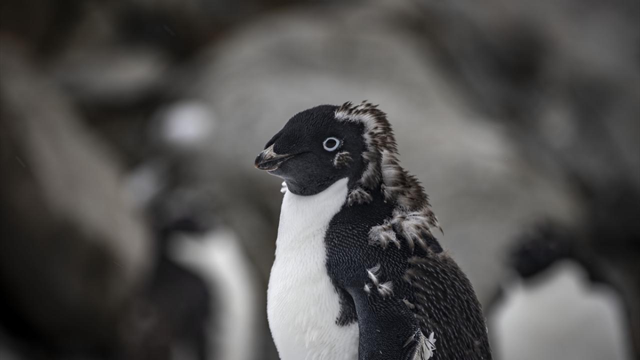 "Seferlerimizde `çevre zabiti` bulundurmaya gayret ediyoruz"