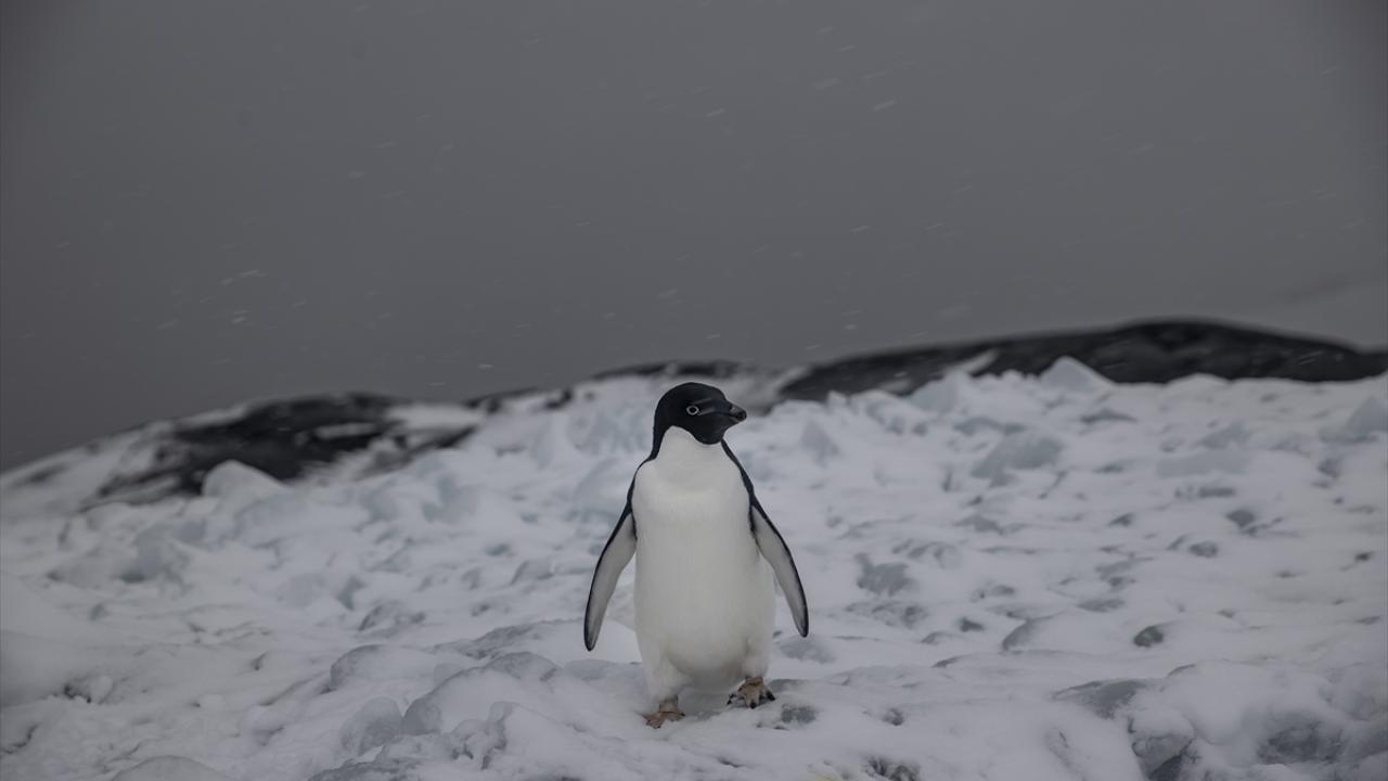 "Minimum ayak izimizi bırakmak için çalışıyoruz"