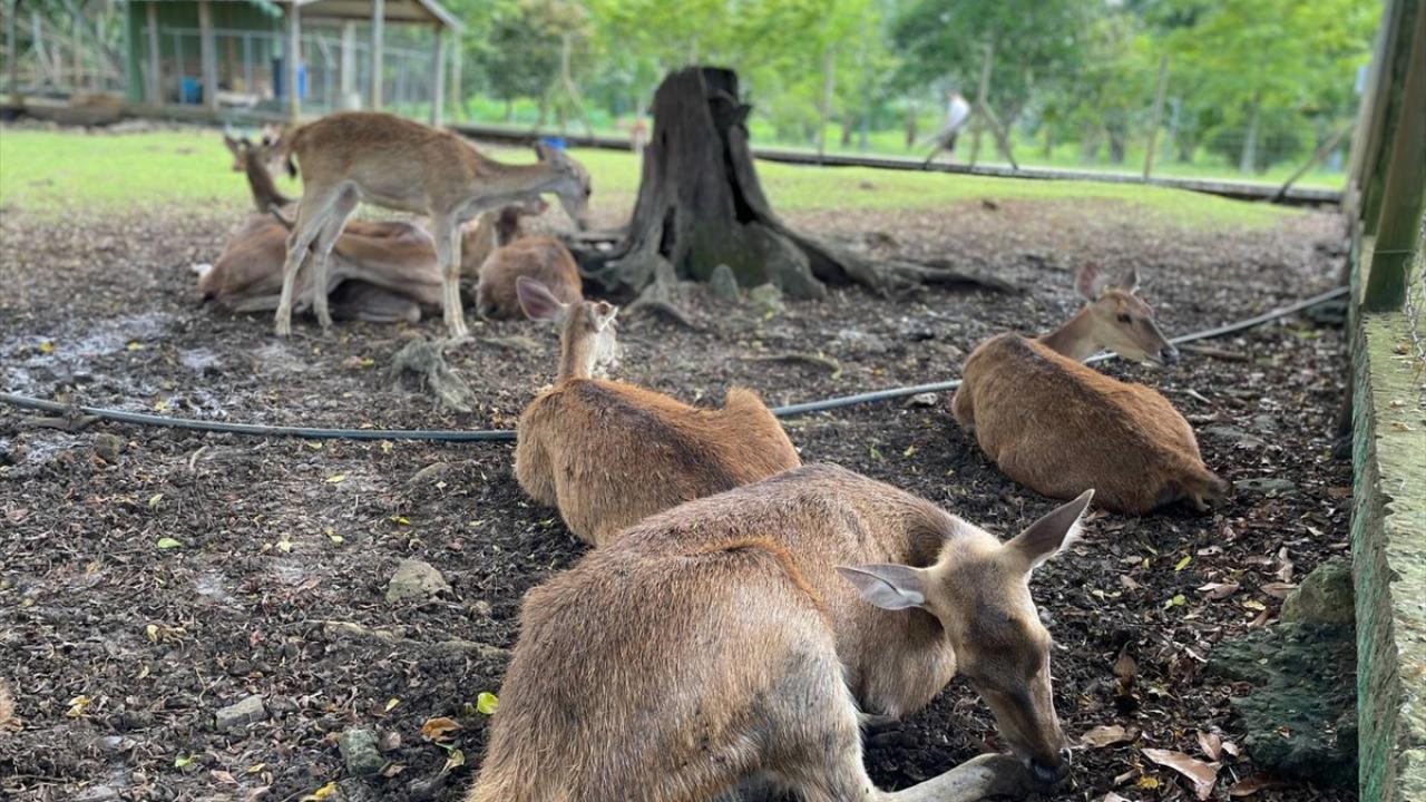 THY ile 9 saatte ulaşılıyor