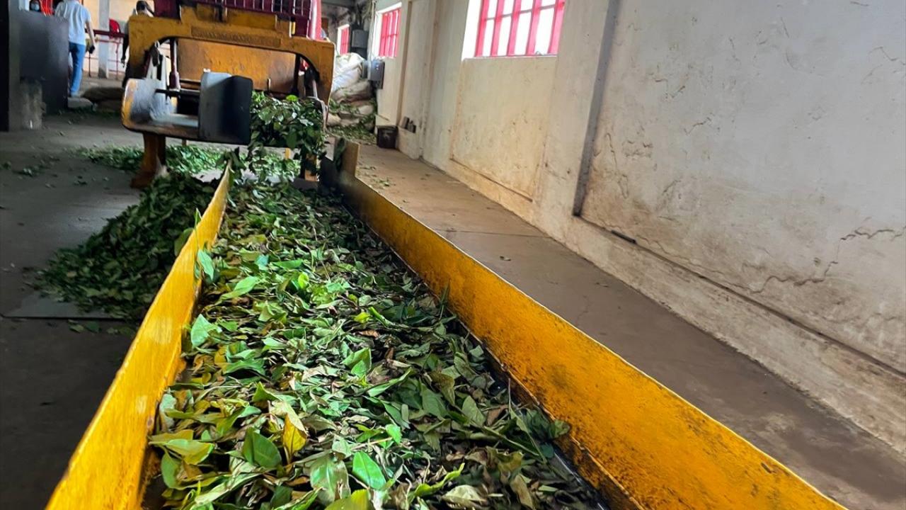 Hinduizm`in en yaygın olduğu tek Afrika ülkesi