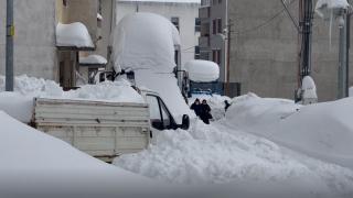 Ordu'da kar esareti: Araçlar kar altında kaldı, çatılar çöktü