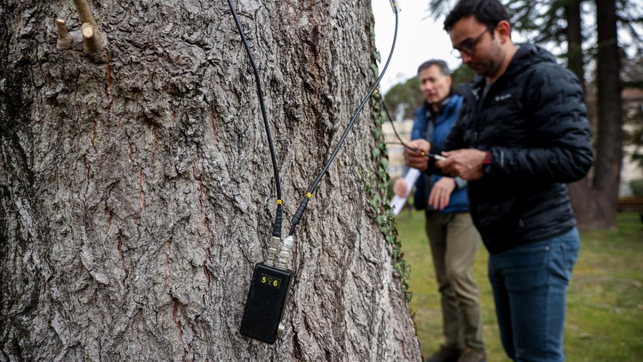 "Çürüme varsa risk büyük"