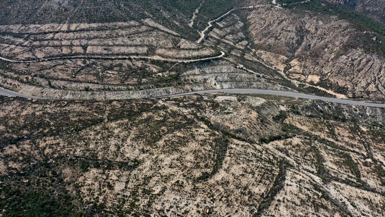 "İşçilerimiz elleriyle teraslama yaparak fidanlar dikti"