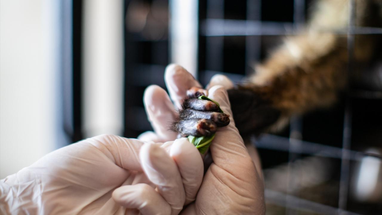 1 milyon 42 bin hektarlık alan tahrip oldu