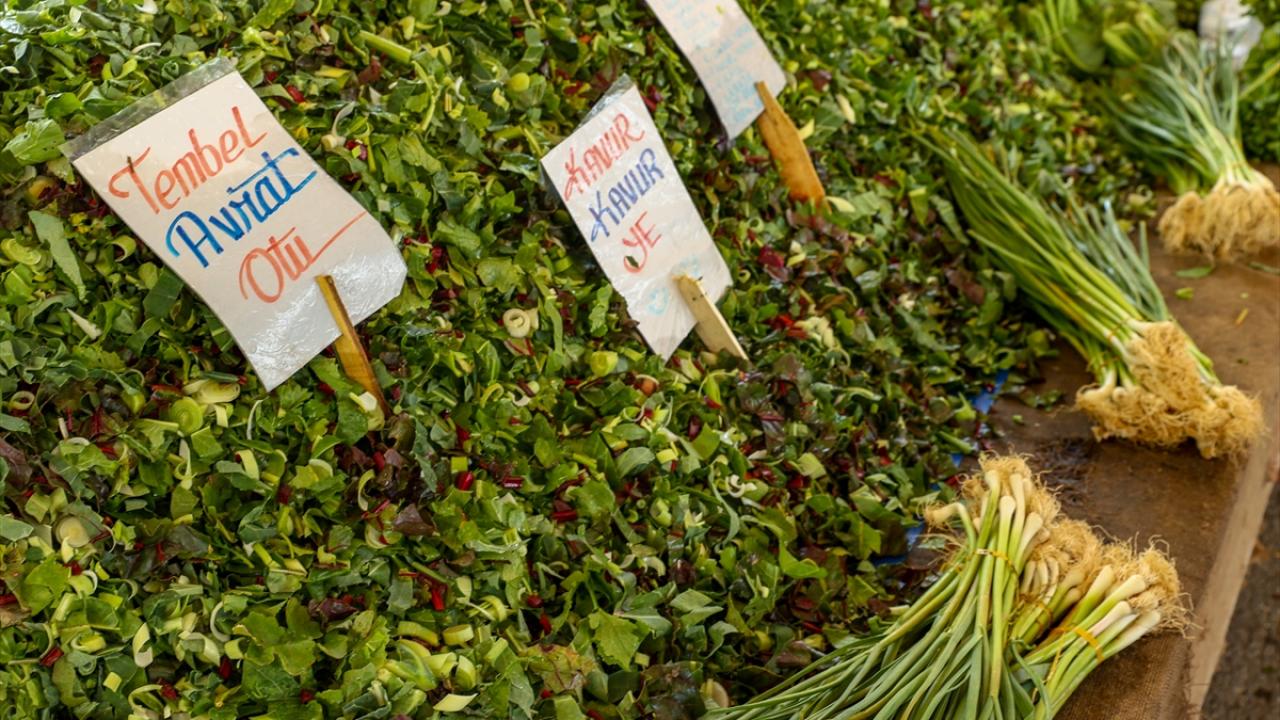 Hedef 1 milyon katılımcı