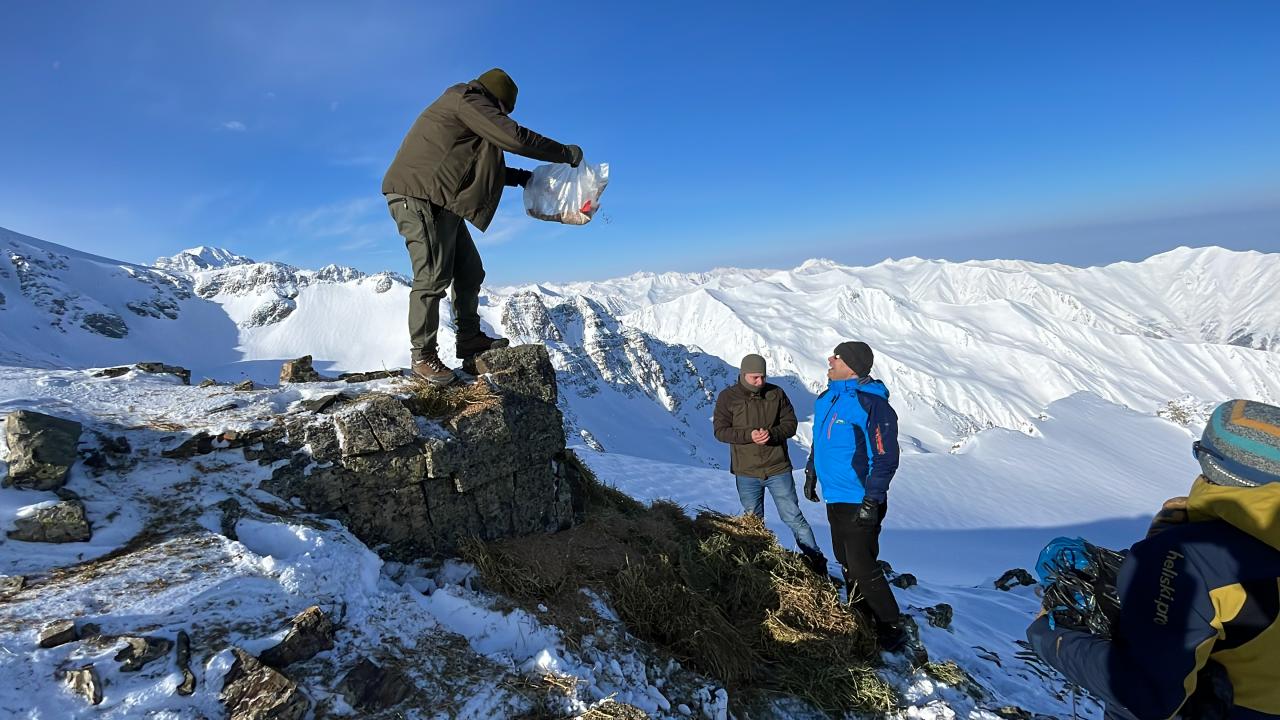 Yemleme çalışmalarının yanında yaban hayatı popülasyonunu da koruduklarının altını çizen Aloğlu, şu değerlendirmede bulundu: