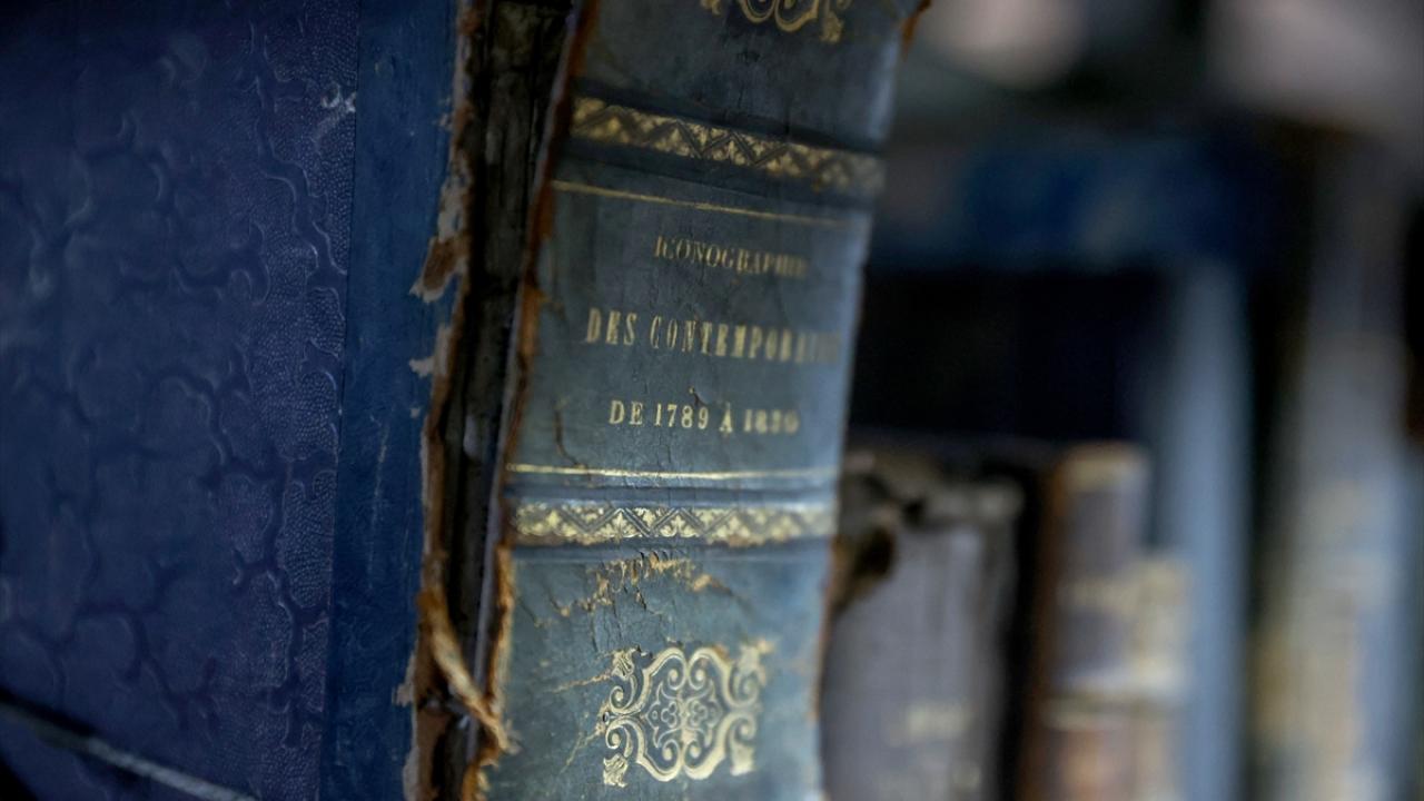 Dört mevsim nem ve sıcaklık değişmiyor