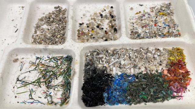 Fransada şişelenmiş suların yüzde 78inde mikroplastik bulunuyor
