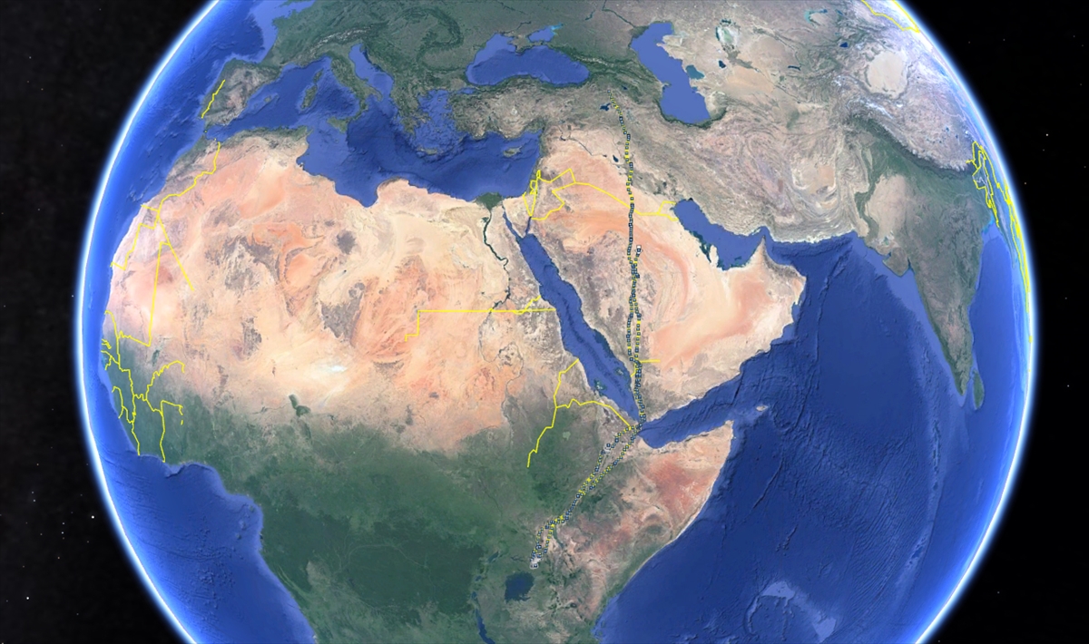 "Göç serüveninde 3 bin 500 metreye kadar yükseldi"