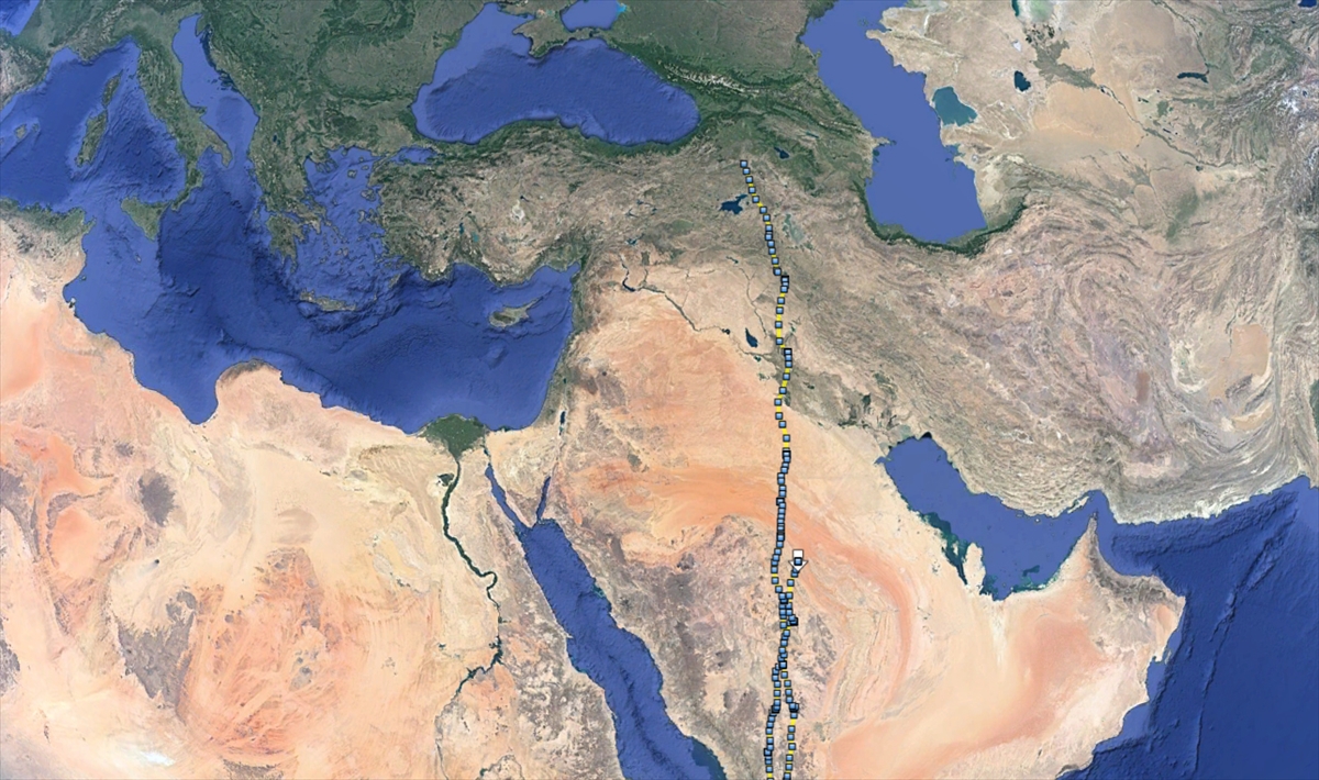 "Kartal erişkin bir birey, 700 gram ağırlığında"