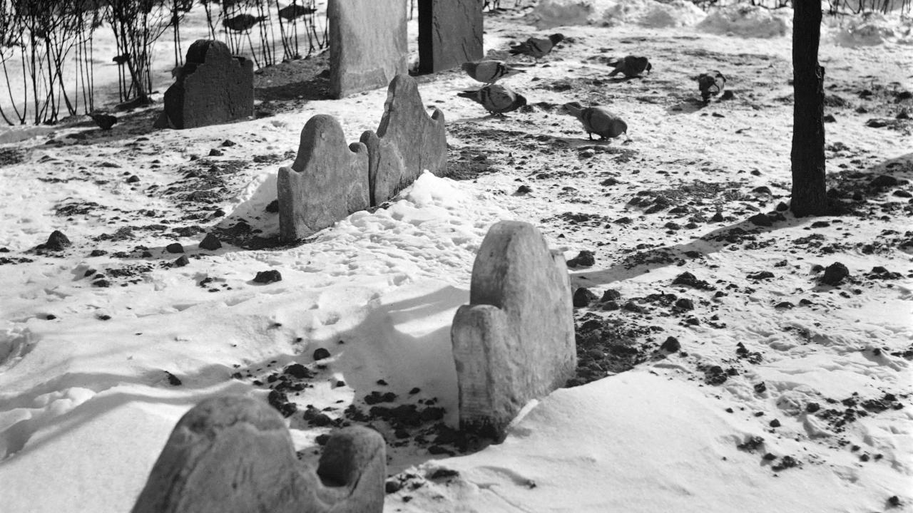 Sokrates`in mezarı bulundu (1995)