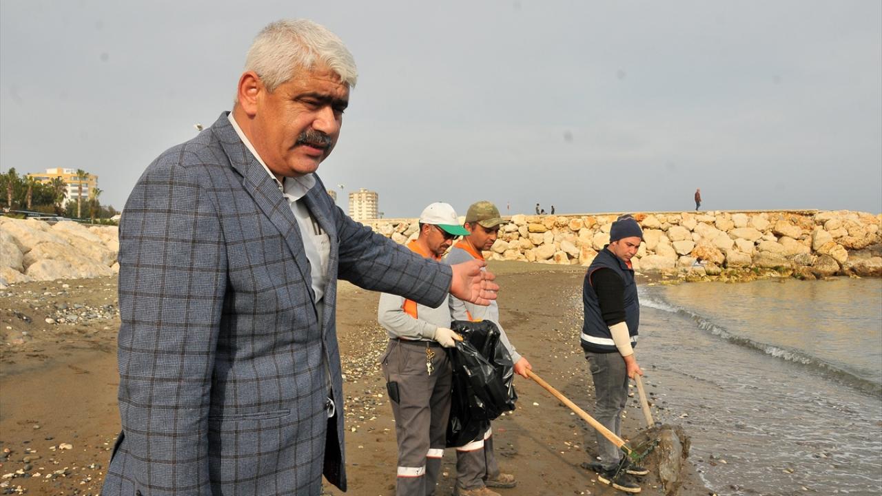 "Yiyecek bulmak için sahillere yaklaştıklarını tahmin ediyoruz"