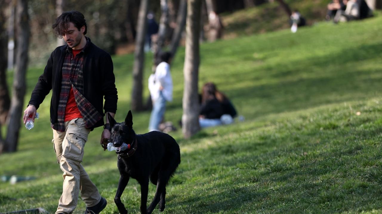 "Raven`e, `Plastiği getir` dediğim zaman büyük bir neşeyle gidip getiriyor"