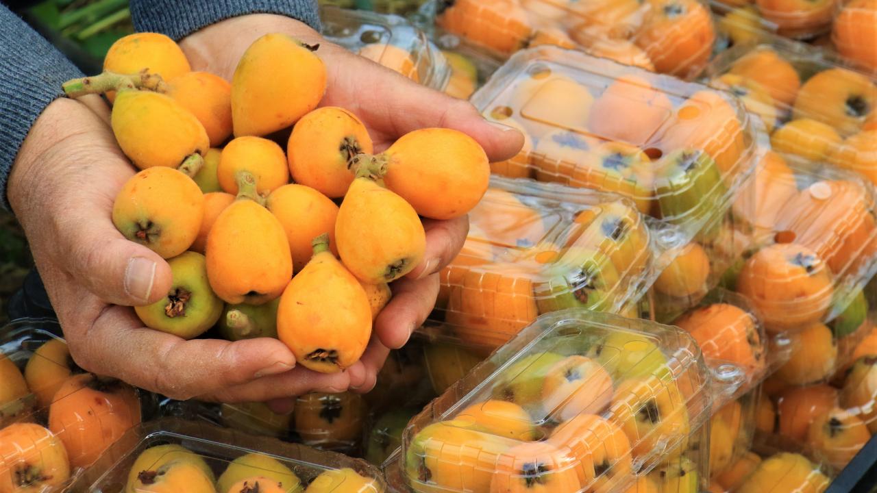 "200 lira temsili fiyatla aldık"