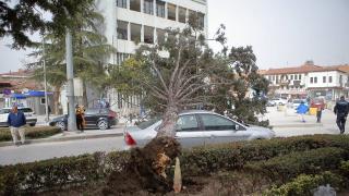 İç Anadolu'da fırtına: Çatılar uçtu, ağaçlar devrildi