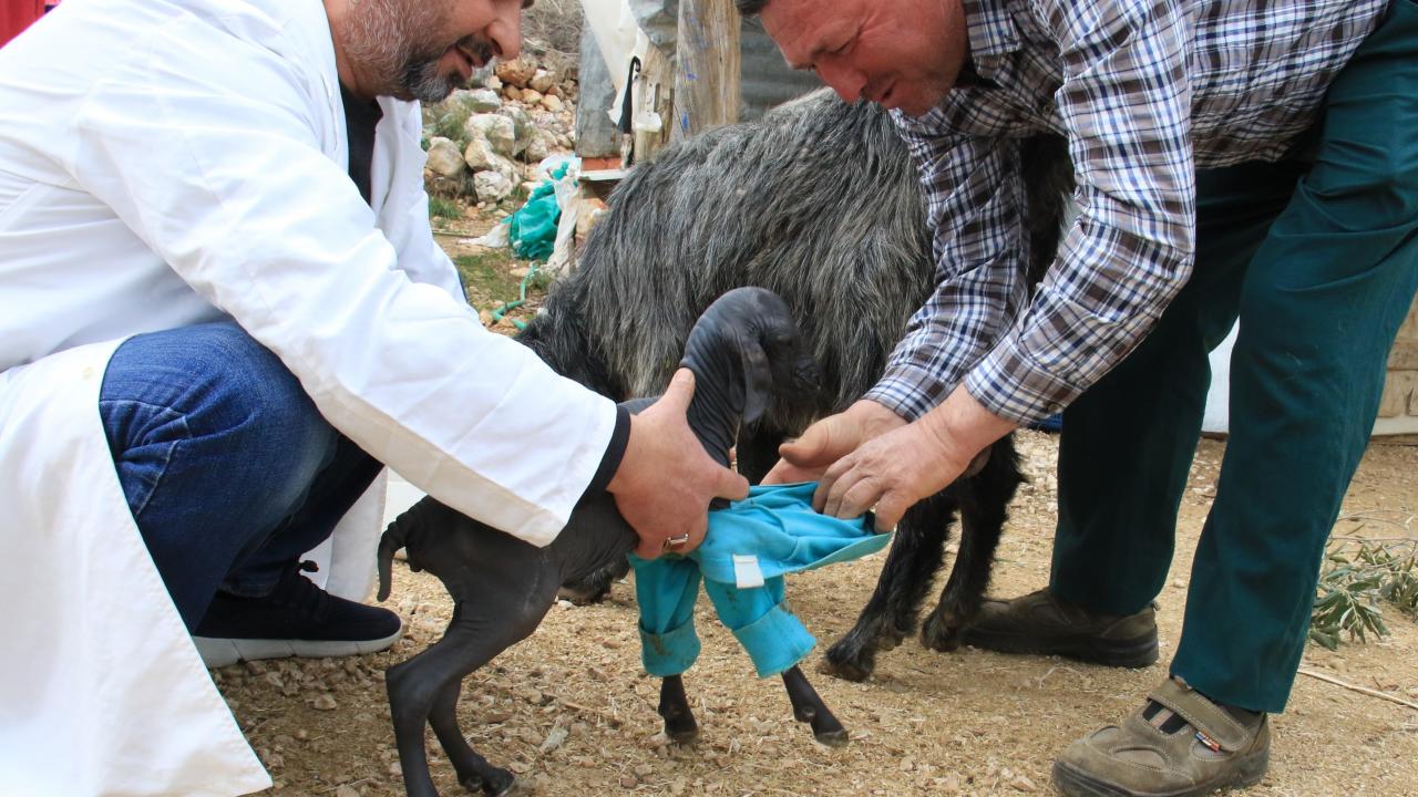 "İnsan gibi ilgi göstermek lazım"