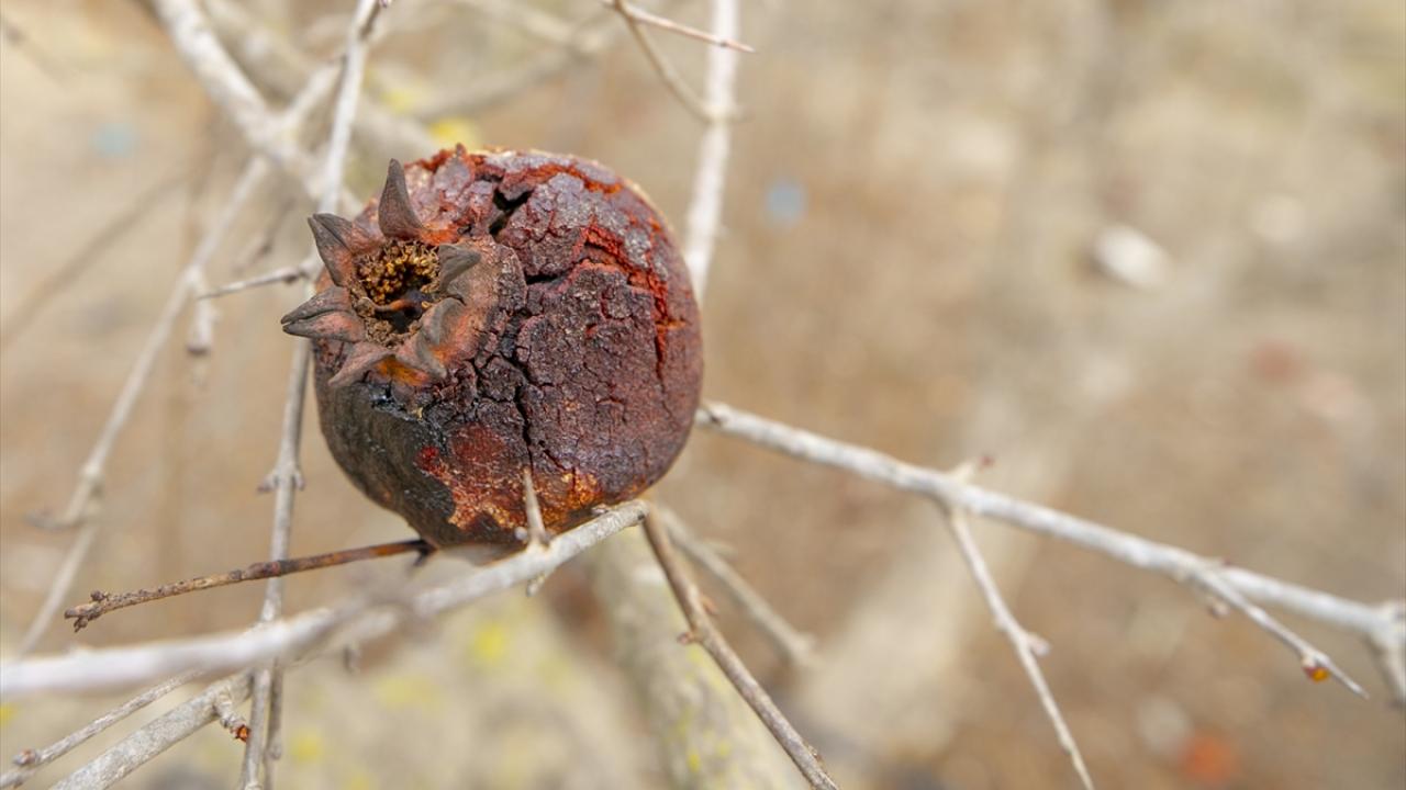Barajlardaki doluluk oranları çok düşük