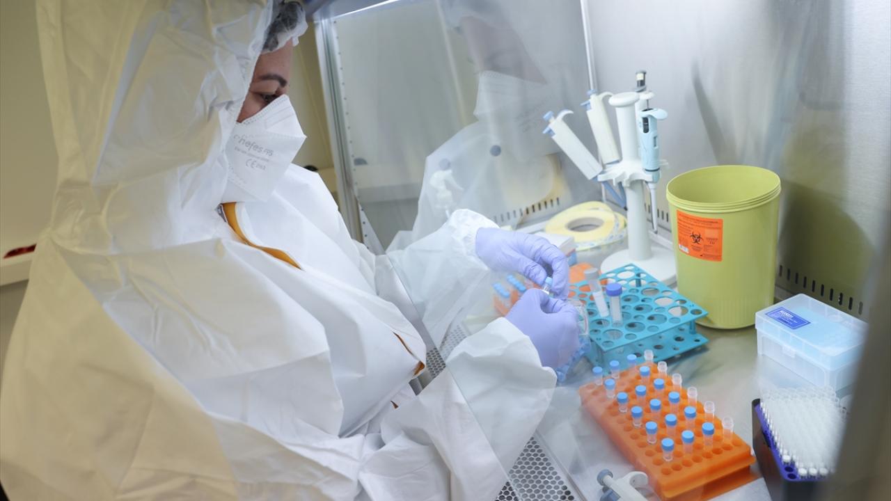 Kamuda üretilmiş ve ruhsatlandırılmış ilk COVID-19 tanı kiti