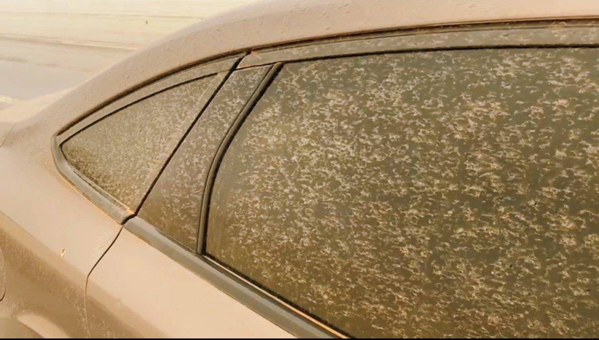 Tatvanlı vatandaşlar sabaha çamurla uyandı