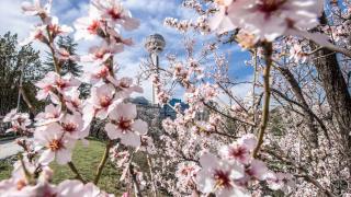 Ankara'da ilkbahar