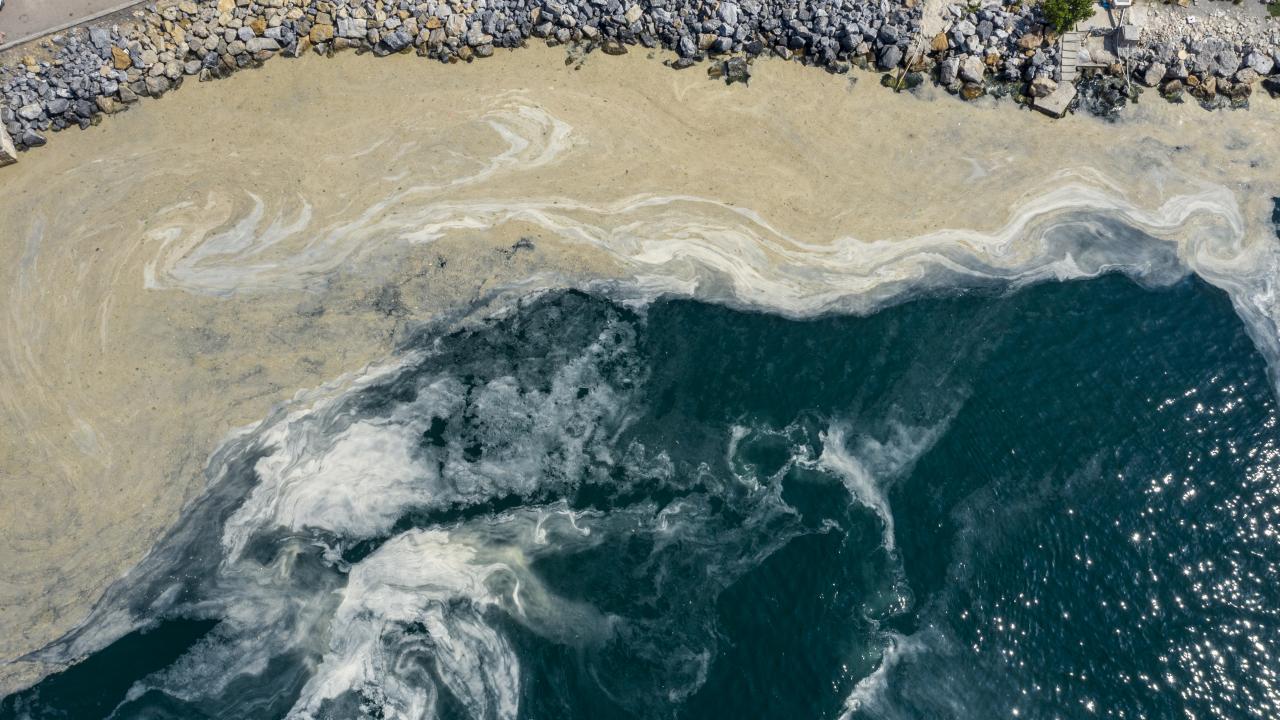 Marmara Denizi`nde ilk kez 2007`de müsilaj oluştu