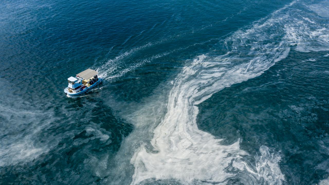 Müsilajın kontrolü, önlenmesi ve etkilerine karşı öneriler