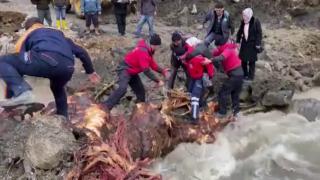 Rahatsızlanan kadını sırtlarında taşıdılar