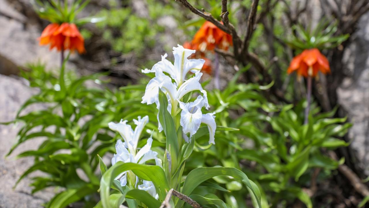 "Bu güzelliğin devam etmesini istiyoruz"