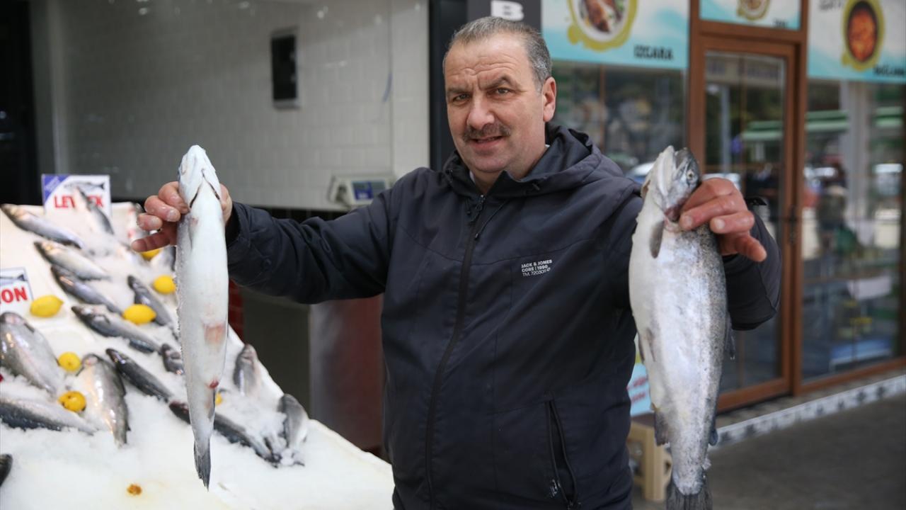 Tezgahlarda havuz balıkları yer aldı