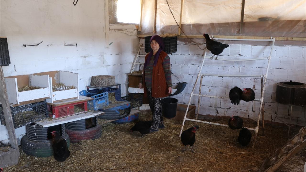 "Hayatımız değişti"