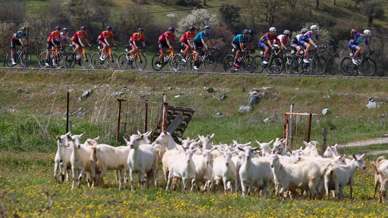 Avustralyalılar damga vuruyor