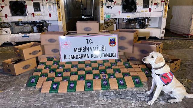 Bakan Soylu duyurdu: Mersin Limanında 258 kilo kokain ele geçirildi
