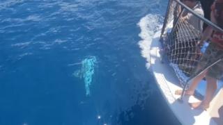 Yunus tur teknesine eşlik etti