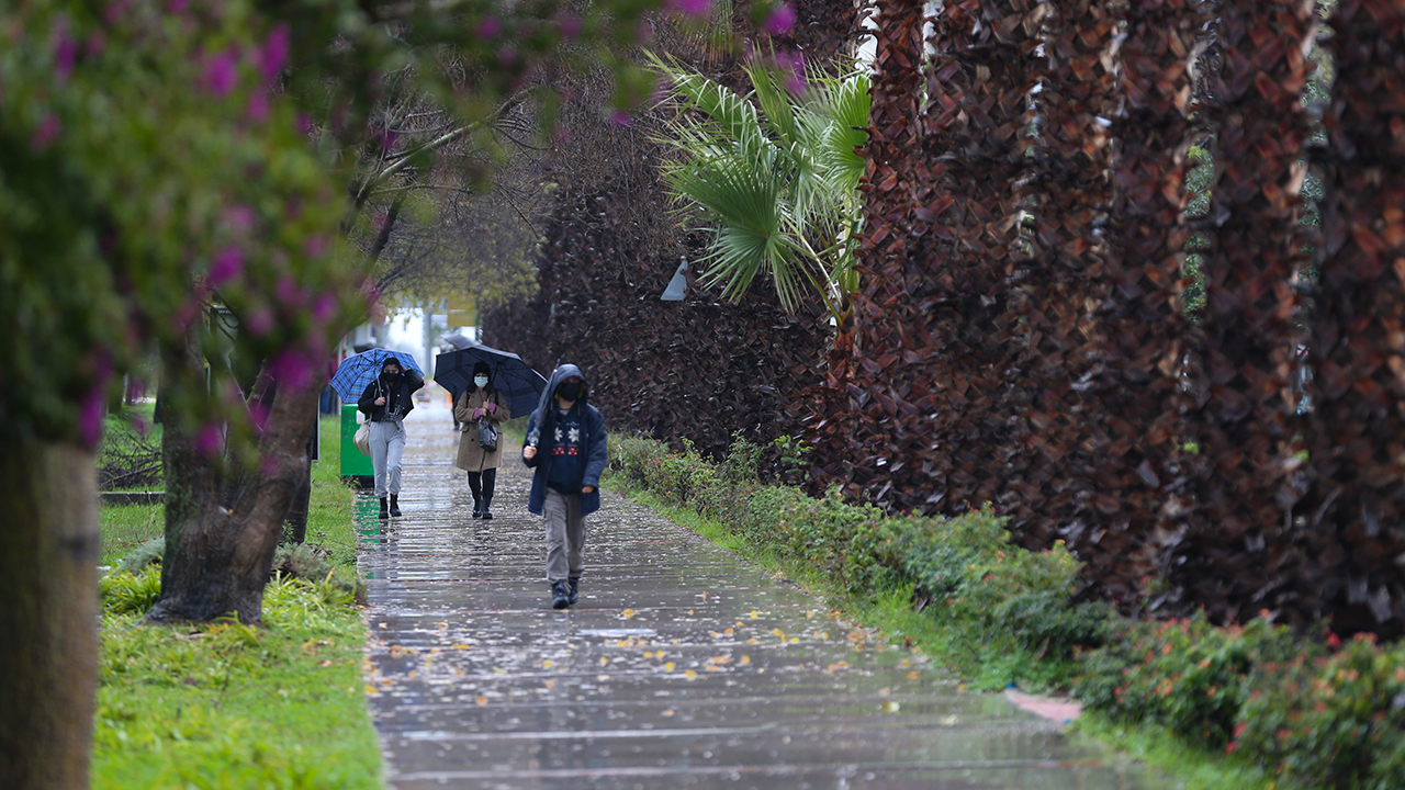 KUVVETLİ RÜZGARA YÖNELİK `SARI` UYARI YAPILAN İLLER