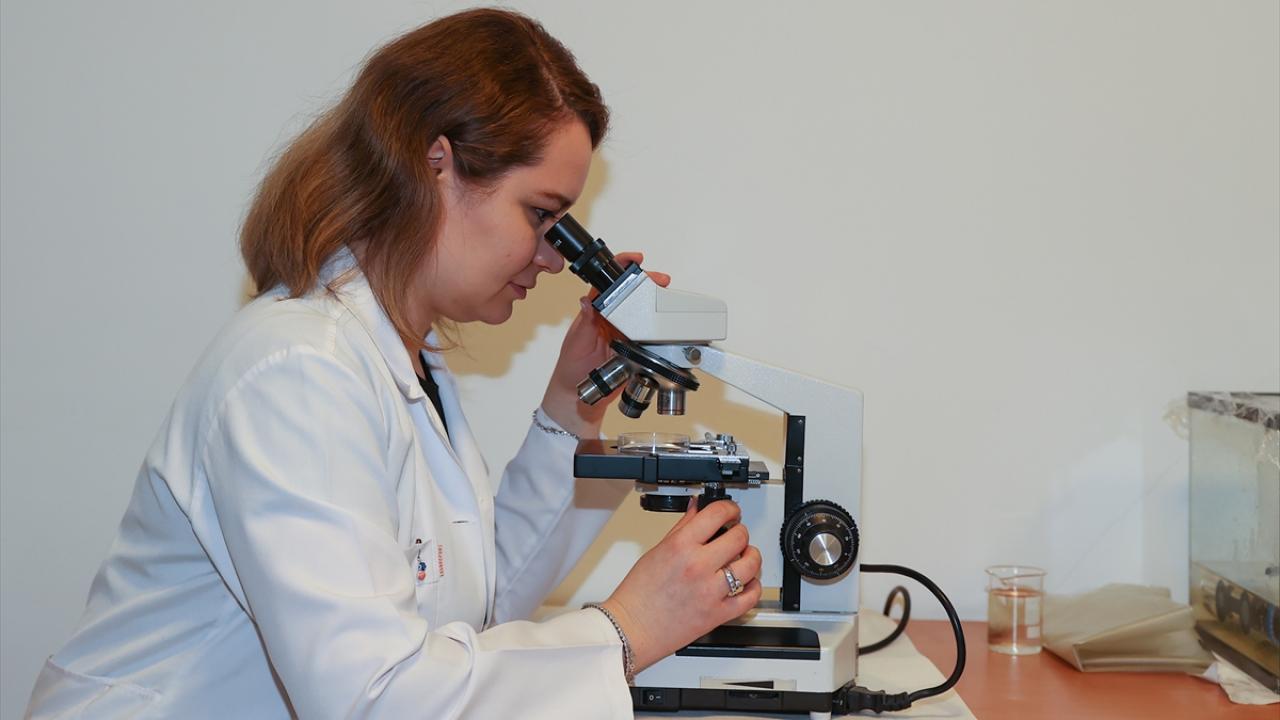 "Mikroplastiklerin biyobirikim potansiyeli, boyut küçüldükçe artar"