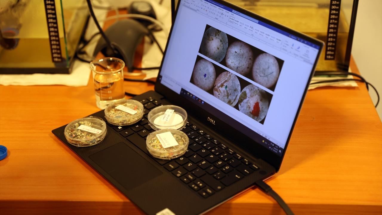 "Mikroplastik kirliliğini önlemek için doğa insanlardan yardım istiyor"