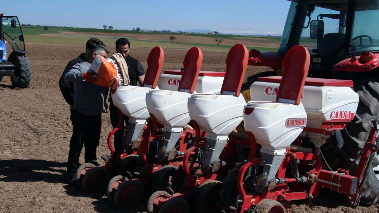 "Kuraklığa rağmen dekarda 70 ila 100 kilogram arasında verim alındı"