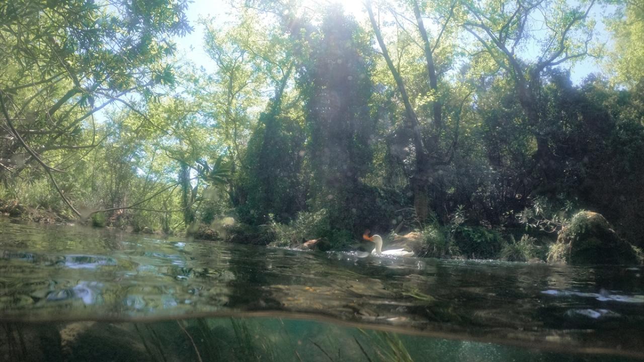 Şelalede su miktarı arttı