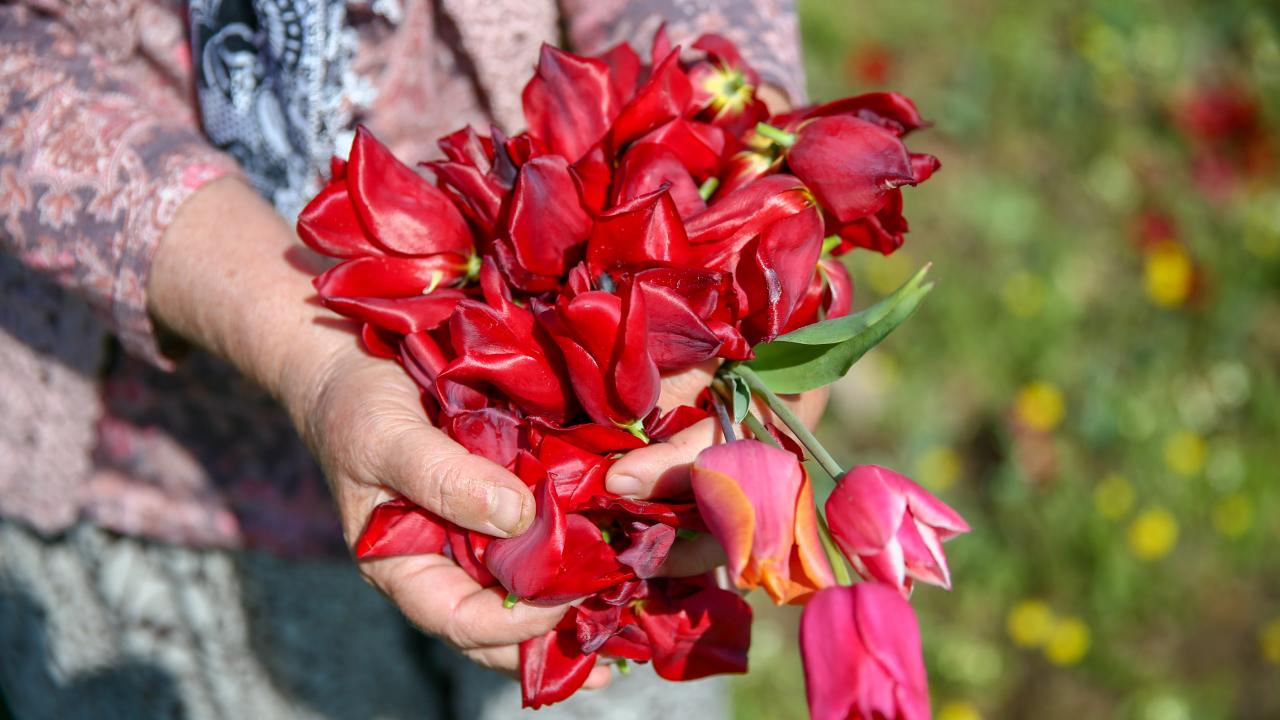 "Sözleşmeli tarım yapıyoruz"