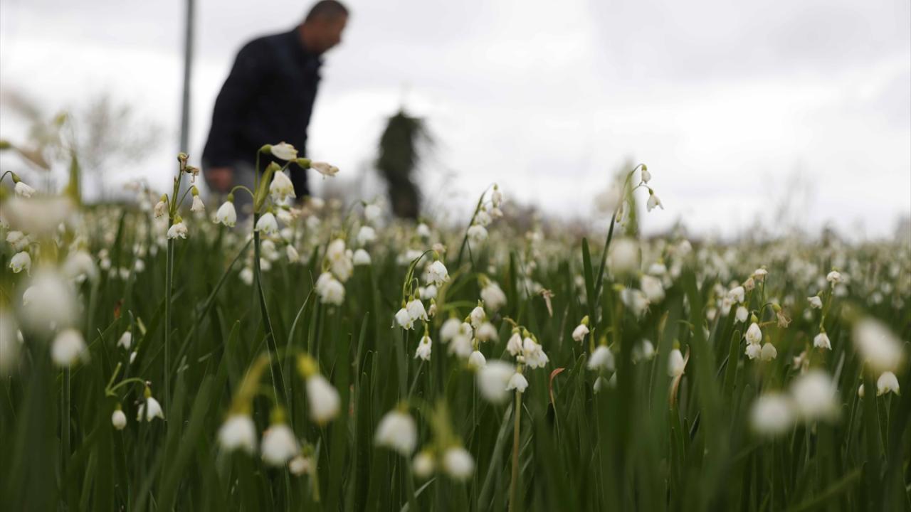 "Yaklaşık 25 dönüme yakın üretim alanımız oluştu"