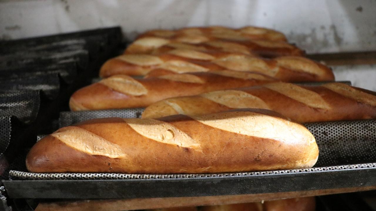 "Ekmek yapımında manyok unu kullanmak bize yılda 10 milyon dolar kazandırır"