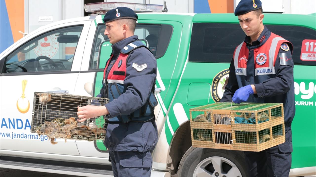 3 kişiye 327 bin lira idari para cezası