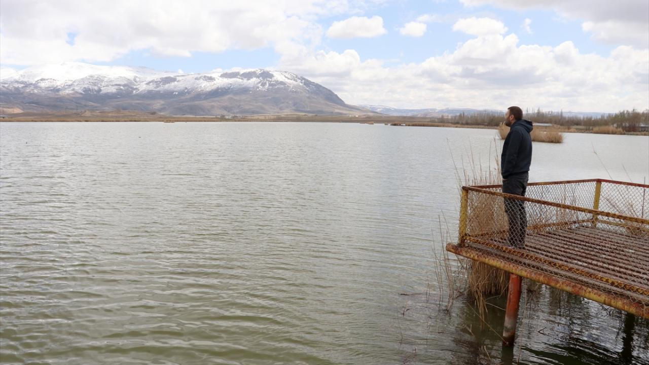 "Burası daha önce bataklıktı, şimdi kuş cenneti oldu"