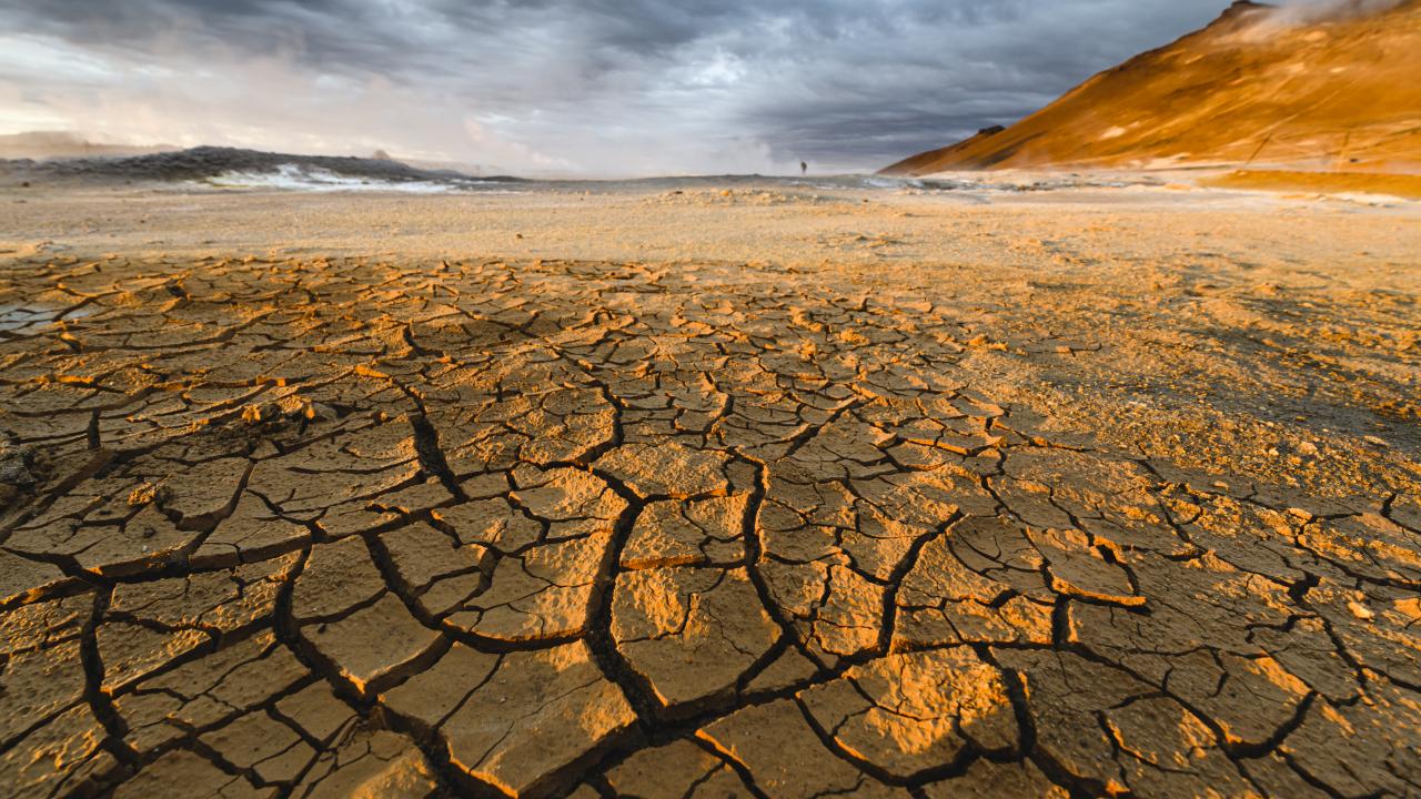 Karbon salınımı azaltılacak 