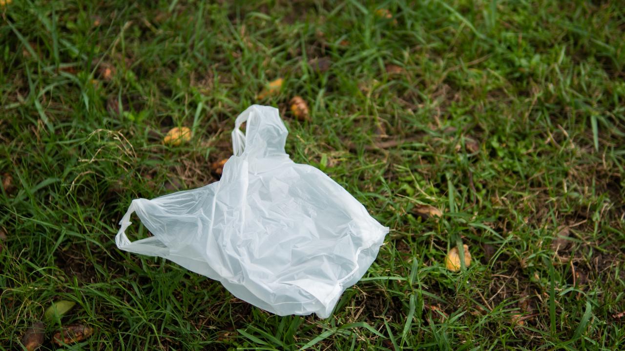 Poşet kullanımı yüzde 75 azaldı