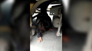 FETÖ şüphelisi tırın dorsesinden çıktı