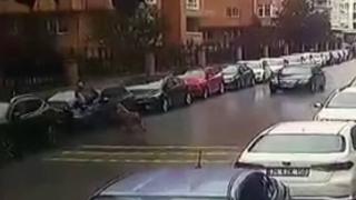 Köpeklerin saldırısından otomobilin üzerine çıkarak kurtuldu